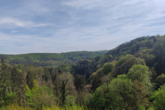 1_IMG_20230504_161042