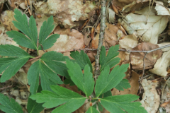 2023-05-05T12_58_5202_00