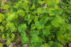 2023-05-06T11_41_2602_00