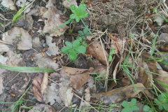 2023-05-06T11_44_4802_00