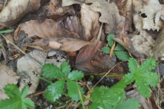 2023-05-06T11_45_4102_00