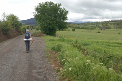 IMG_20230508_114340_1