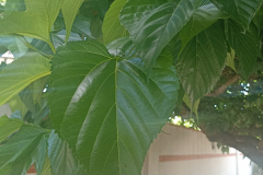 2023-06-10T16_43_4502_00