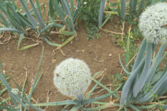 2023-06-12T11_54_5602_00