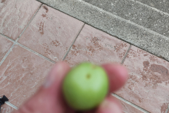 2023-06-18T19_47_1902_00