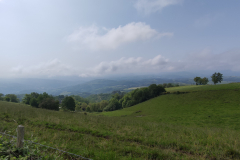 1_IMG_20230524_104437