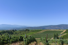 1_IMG_20230726_110041