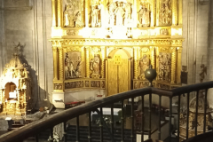 1_IMG_20230627_075849