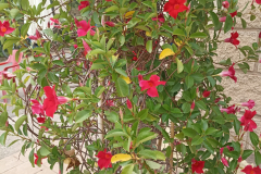 2023-06-28T11_38_0602_00