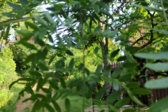 2023-05-29T08_37_5602_00