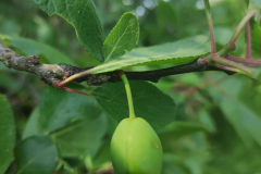 2023-05-29T11_39_4102_00